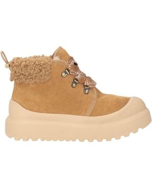 Colors Of California Ankle Boots - Brown