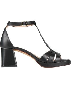 Triver Flight Sandals - Black