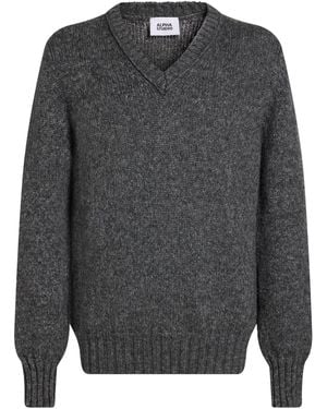 Alpha Studio Jumper Wool, Polyamide, Alpaca Wool - Grey