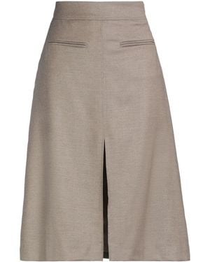 Drumohr Midi Skirts - Gray
