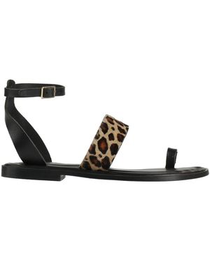 Sancia Thong Sandal - Black