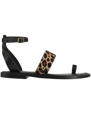 Sancia Thong Sandal - Black