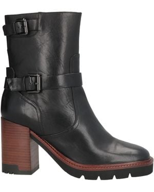 Bruno Premi Ankle Boots Leather - Black