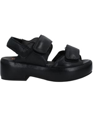 Moma Sandals - Black