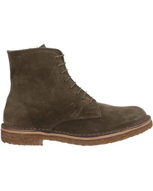 Dondup Stiefelette - Braun