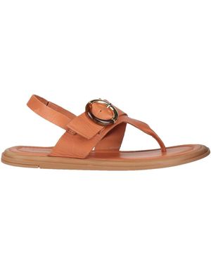 Shaddy Tan Thong Sandal Leather - Brown
