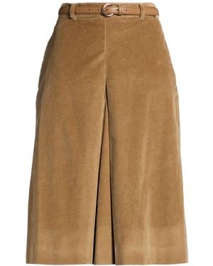 Max Mara Shorts & Bermuda Shorts Cotton - Brown