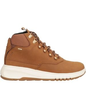Geox Trainers - Brown
