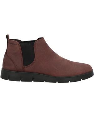 Ecco Ankle Boots Leather - Brown
