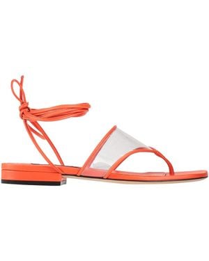 Sergio Rossi Thong Sandal Leather, Pvc - Red