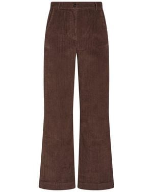 Hartford Pants Cotton - Brown