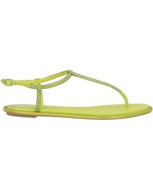 Rene Caovilla Thong Sandals - Yellow