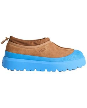 UGG Ankle Boots - Blue