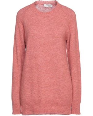 Laneus Sweater - Pink