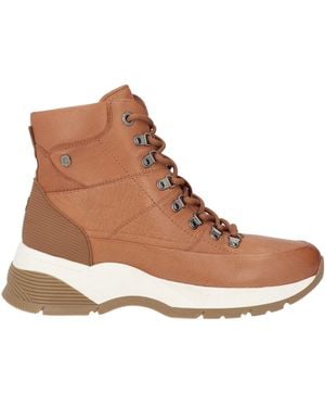 Carmela Sneakers - Brown