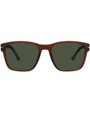 Police Sunglasses - Green