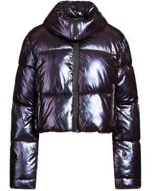 Canadian Puffer - Blue