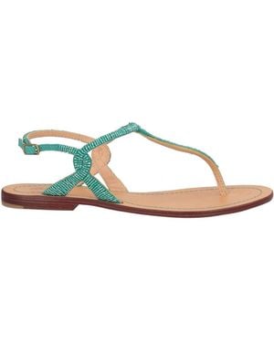 Maliparmi Thong Sandal - Brown