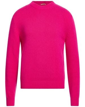 Barena Sweaters - Pink