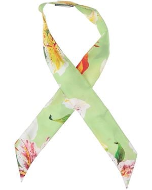 Dolce & Gabbana Sciarpa - Verde