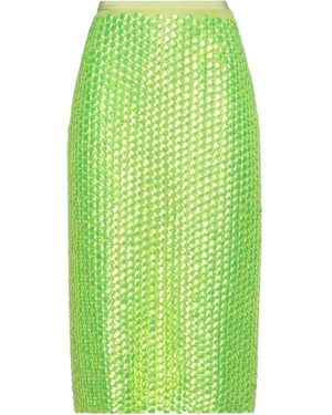 Dries Van Noten Midi Skirt - Green