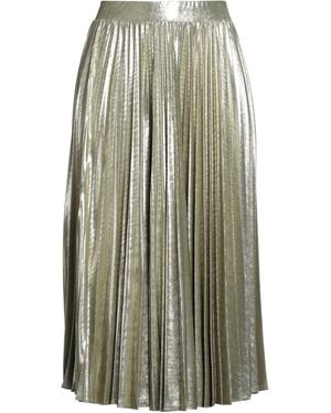 Marella Midi Skirt - Metallic