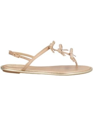 Rene Caovilla Thong Sandals - Natural