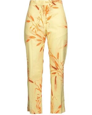 MSGM Pastel Pants Cotton, Elastane - Yellow