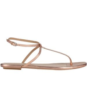 Sergio Rossi Thong Sandals - Natural