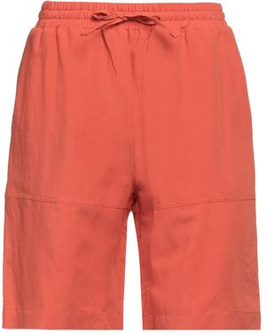 Roberto Collina Shorts & Bermuda Shorts - Red