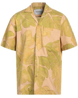 Amaranto Sand Shirt Cotton - Yellow