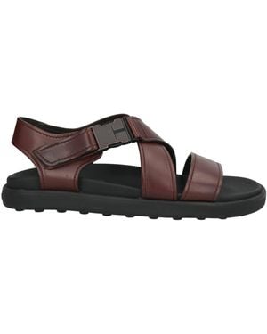 Tod's Sandals - Brown