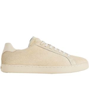 Palm Angels Sneakers - Neutro