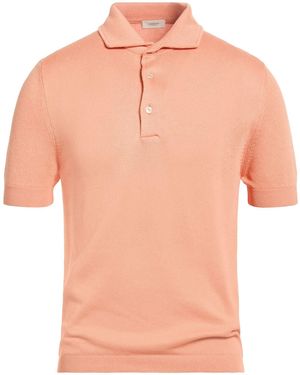 Agnona Polo Shirt Silk, Cotton, Metal - Pink