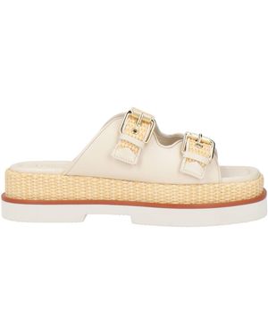 Elvio Zanon Sandalias - Neutro