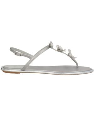 Rene Caovilla Thong Sandal - White