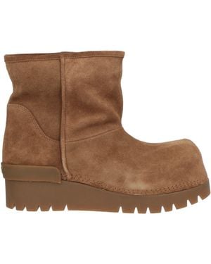 Ash Bottines - Marron