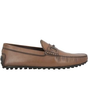 Tod's Loafer - Brown