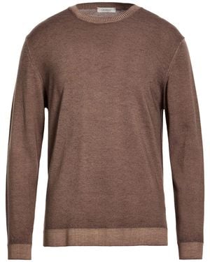 Crossley Jumpers - Brown