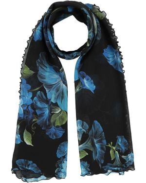 Dolce & Gabbana Scarf - Blue