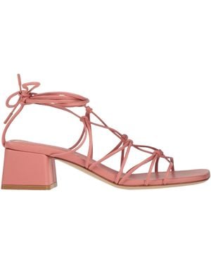 Gianvito Rossi Sandalias - Rosa