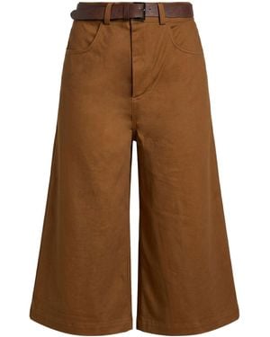 Dixie Shorts & Bermuda Shorts - Brown