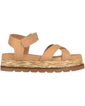 Elvio Zanon Sandals - Brown