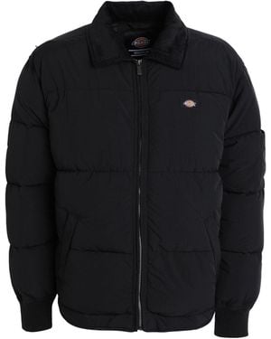 Dickies Puffer - Black