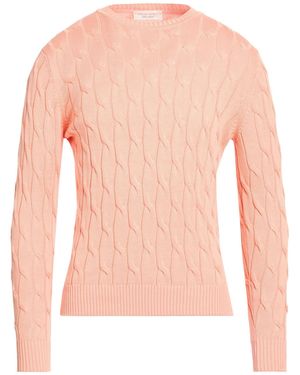FILIPPO DE LAURENTIIS Apricot Jumper Cotton - Pink