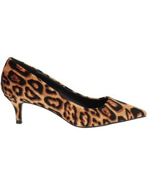 Steve Madden Court Shoes - Brown
