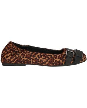 Ash Ballet Flats - Brown