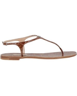 Casadei Thong Sandal - Brown