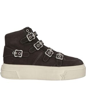 Ash Ankle Boots Calfskin - Black