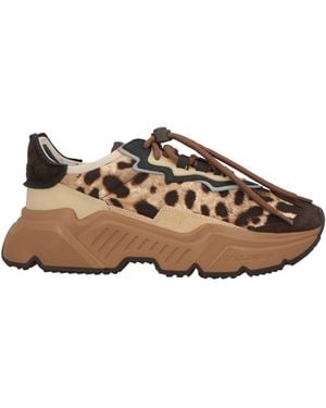 Dolce & Gabbana Sneakers - Brown